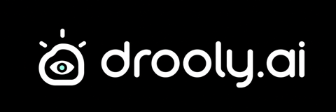 drooly.ai
