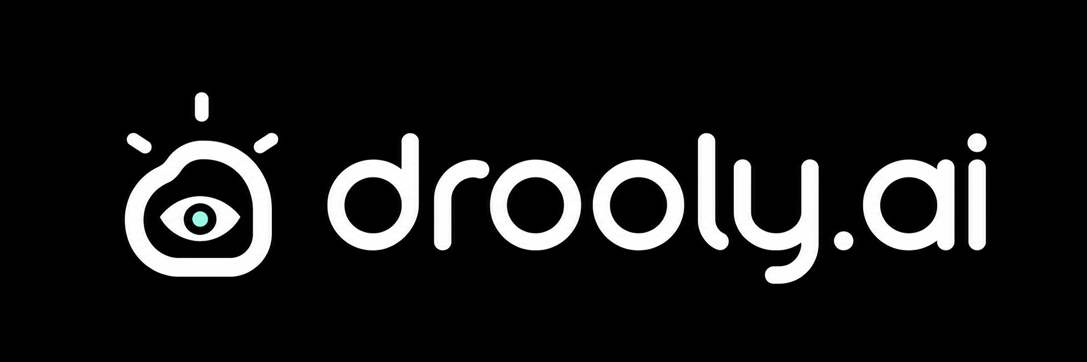 drooly.ai